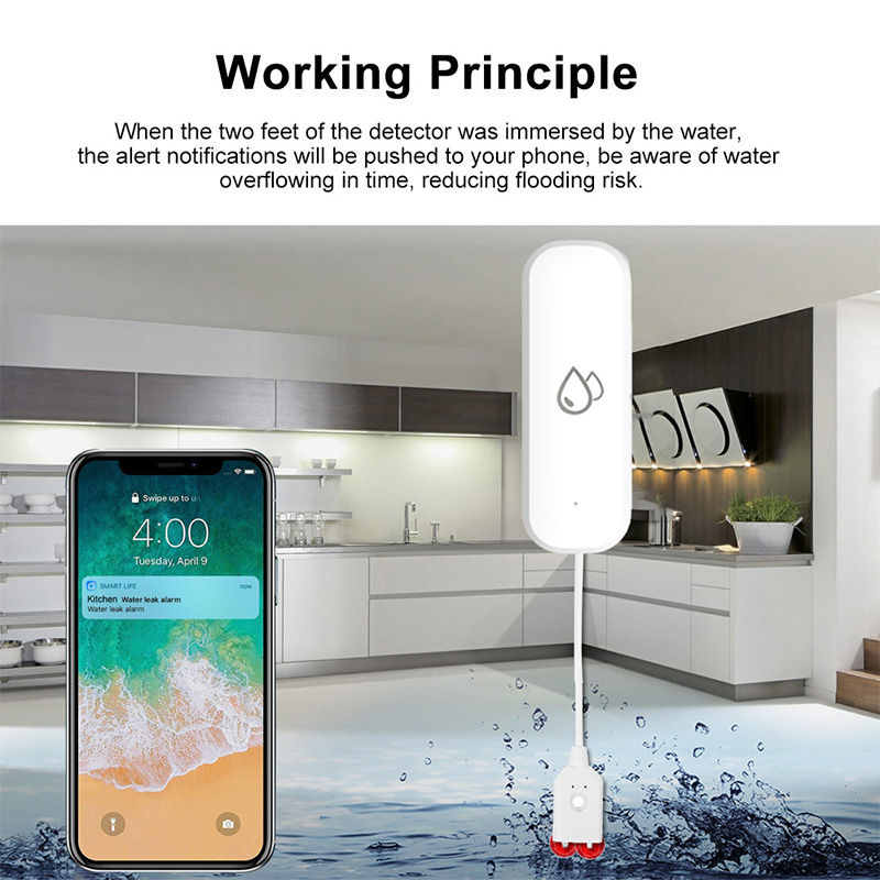 جهاز إنذار تسرب المياه الذكي م - مراجعة Home Security With Monitoring وسعره