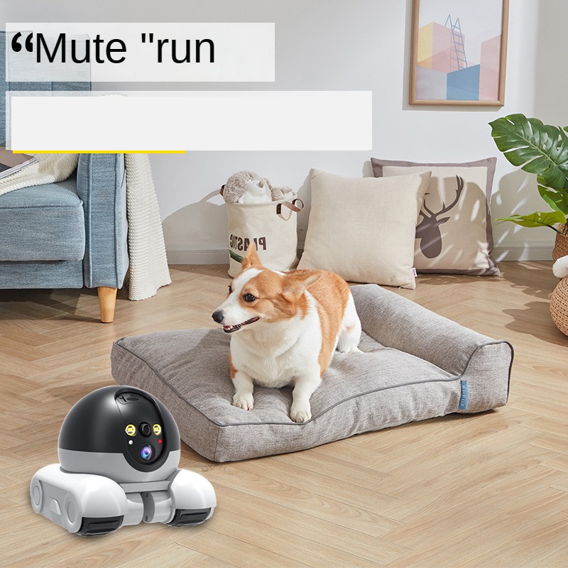 كاميرا واي فاي جديدة بدقة 1080 - مراجعة Home Security Robots وسعره