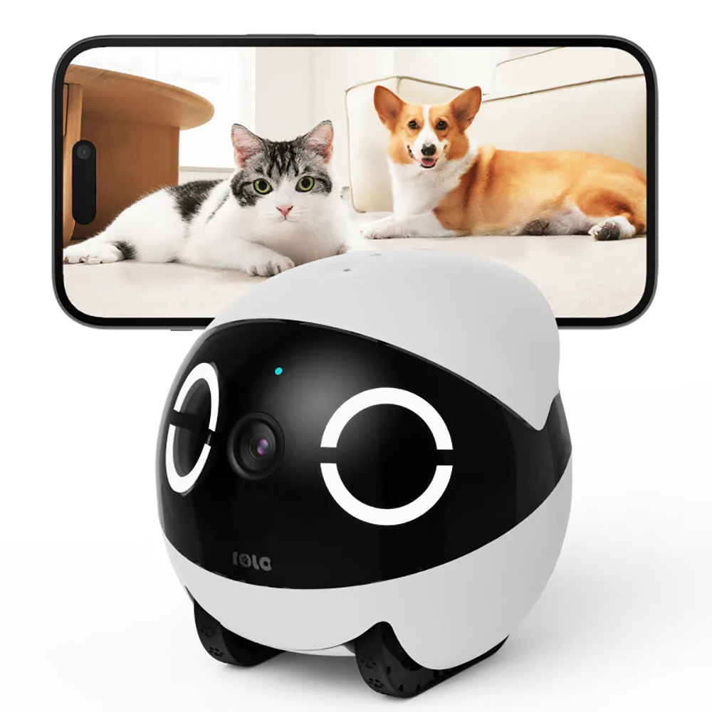 روبوت رفيق صغير للأمن المنزلي  - مراجعة Home Security Robots وسعره