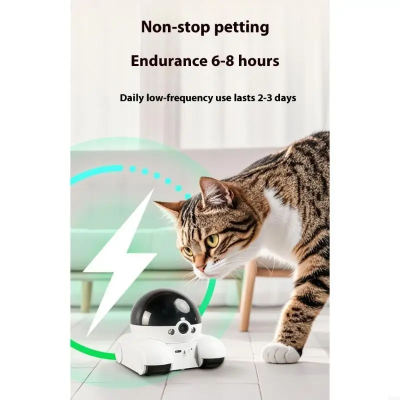 كاميرا الحيوانات الأليفة الدوا - مراجعة Home Security Robots وسعره